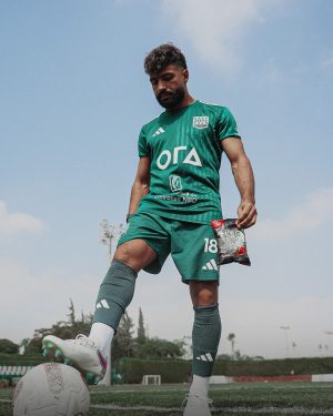 أحمد الصغيري